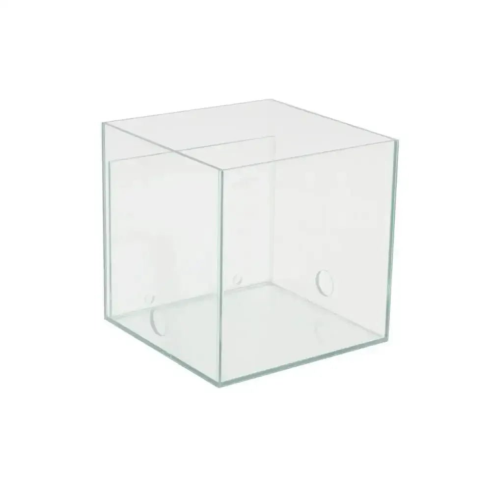 ANTCUBE – Arena 20x20x20 cm – Combi M - Talis Us