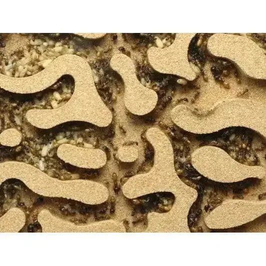 ANTCUBE – Cork nest 20×20 – standing - Talis Us