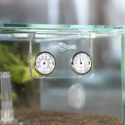 ANTCUBE Mini thermo hygrometer analog – display – hanging - Talis Us