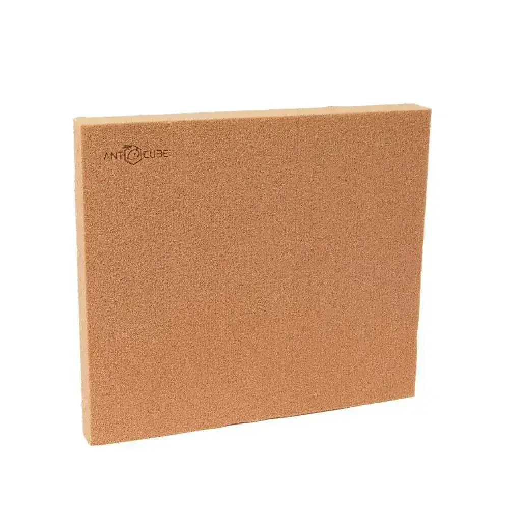 ANTCUBE Starter Set for Harvester Ants – L – Popcorn - Talis Us