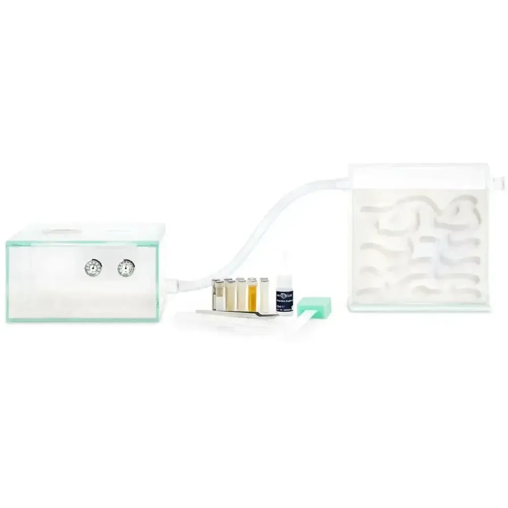 ANTCUBE Starter Set L – 20×20cm – Gypsum Antcube