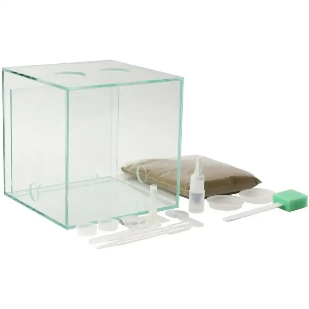 ANTCUBE Starter Set L – 20×20cm – Combi - Talis Us
