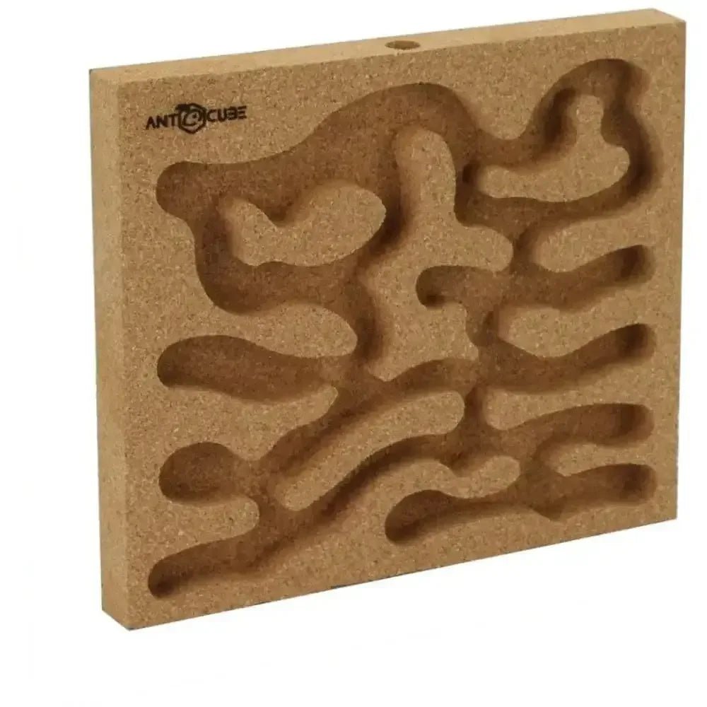 ANTCUBE Starter Set L – 20×20cm – Cork - Talis Us