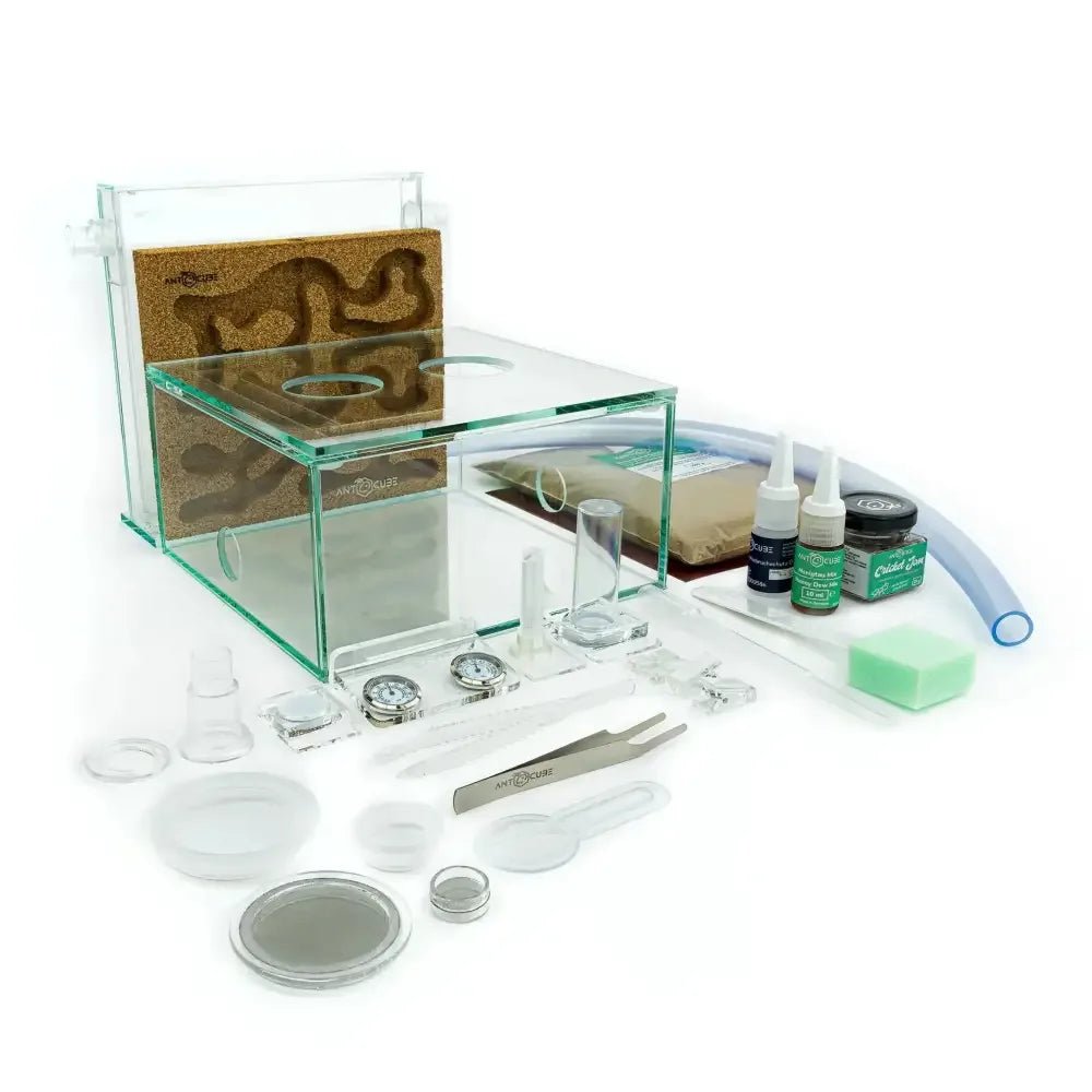 ANTCUBE Starter Set L – 20×20cm – Cork - Talis Us