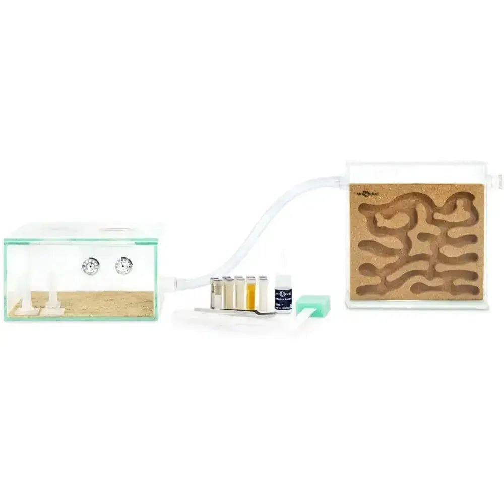 ANTCUBE Starter Set L – 20×20cm – Cork - Talis Us