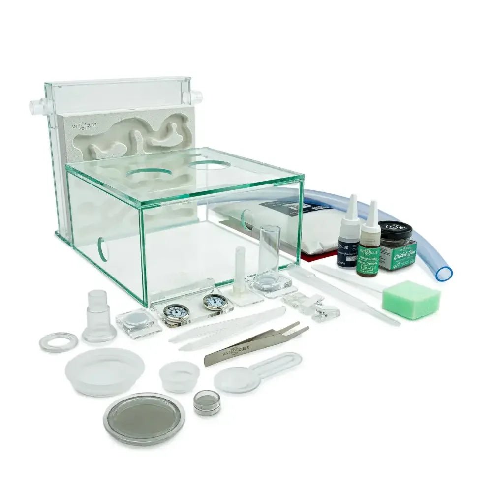 ANTCUBE Starter Set L – 20×20cm – Gypsum - Talis Us