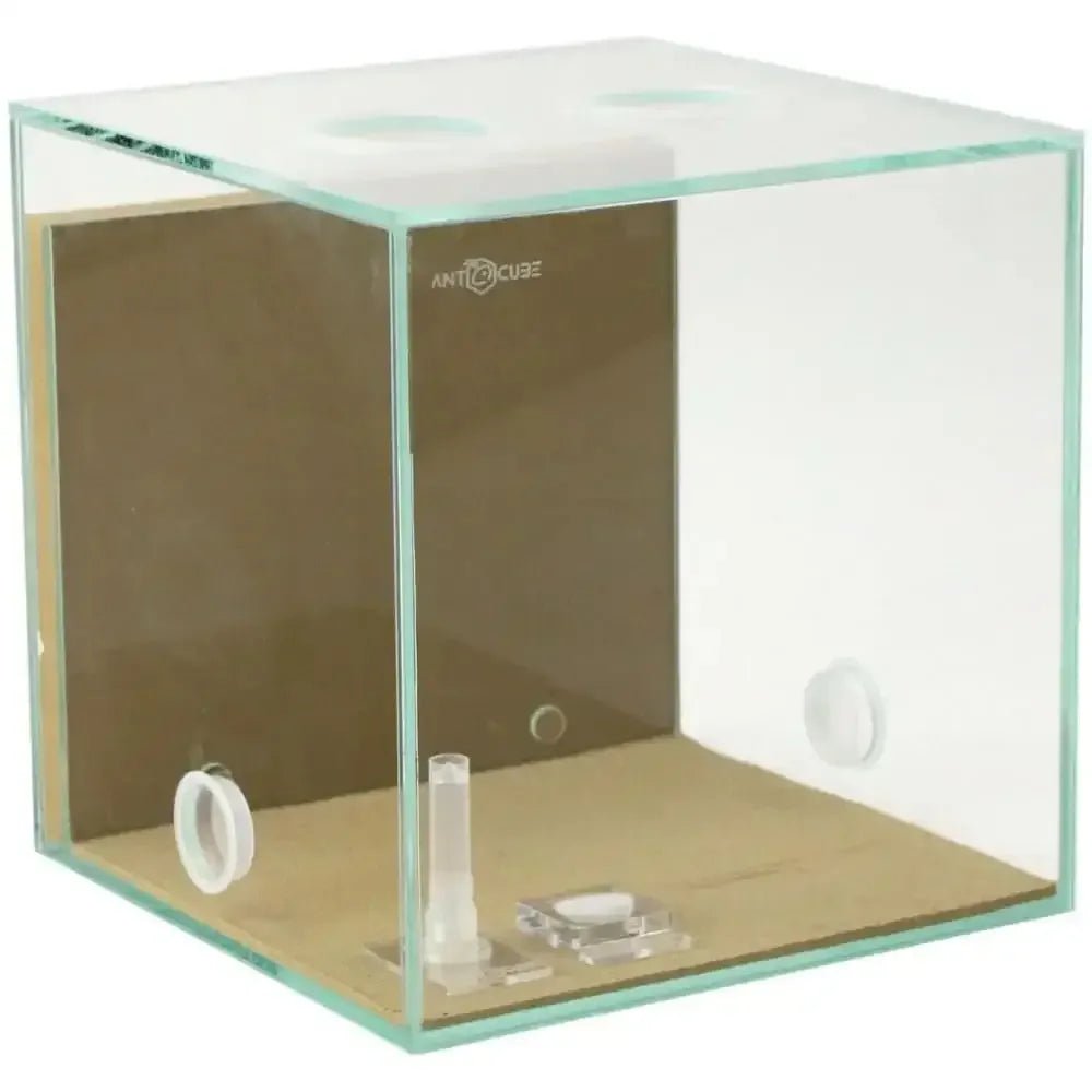 ANTCUBE Starter Set M – 20×20cm – Combi - Talis Us