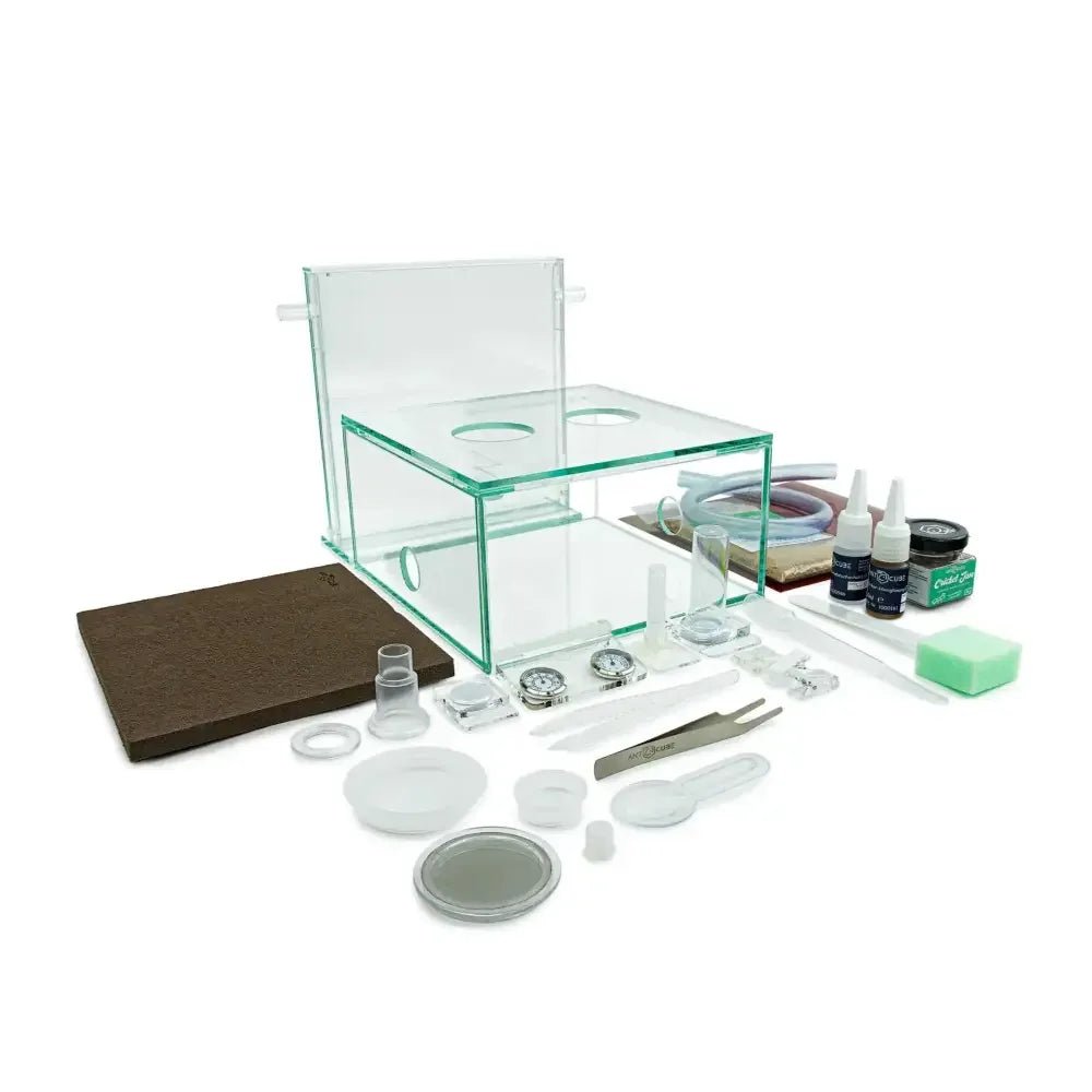 ANTCUBE Starter Set M – 20×20cm – Digfix - Talis Us