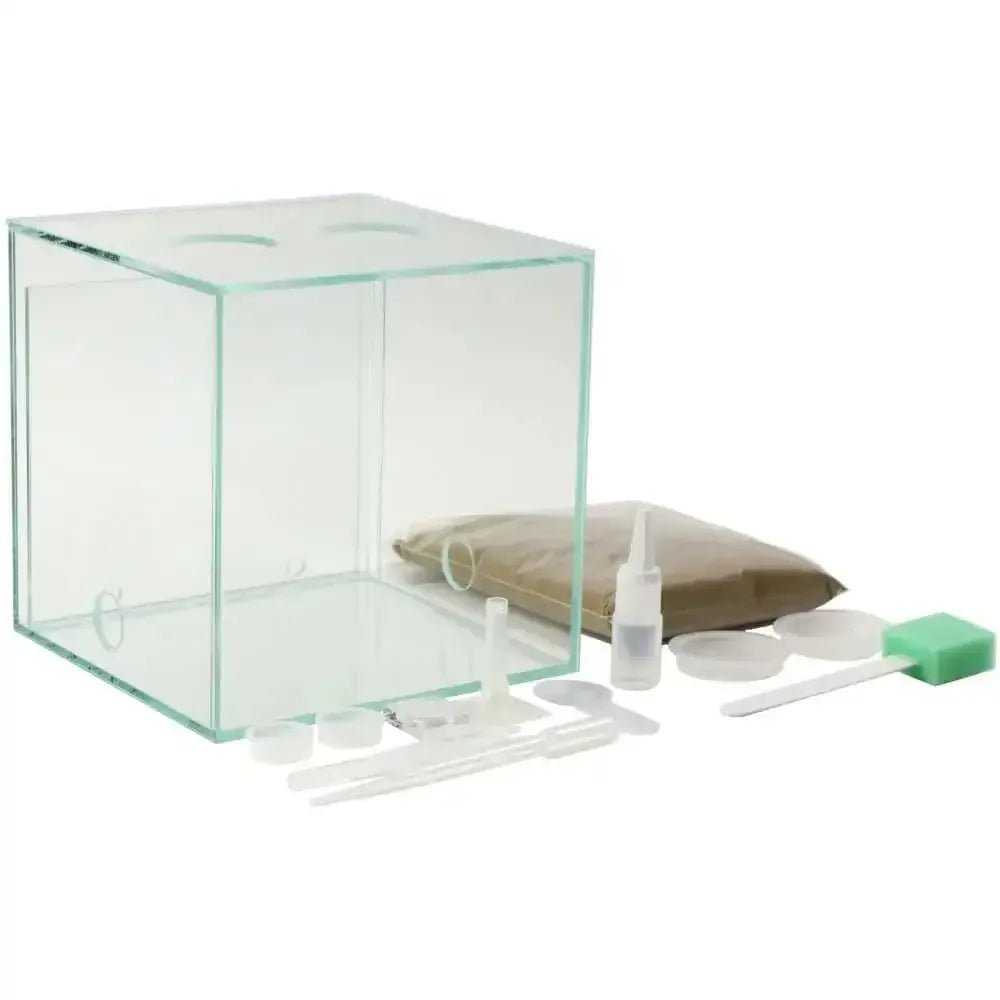 ANTCUBE Starter Set S – 20×20cm – Combi - Talis Us
