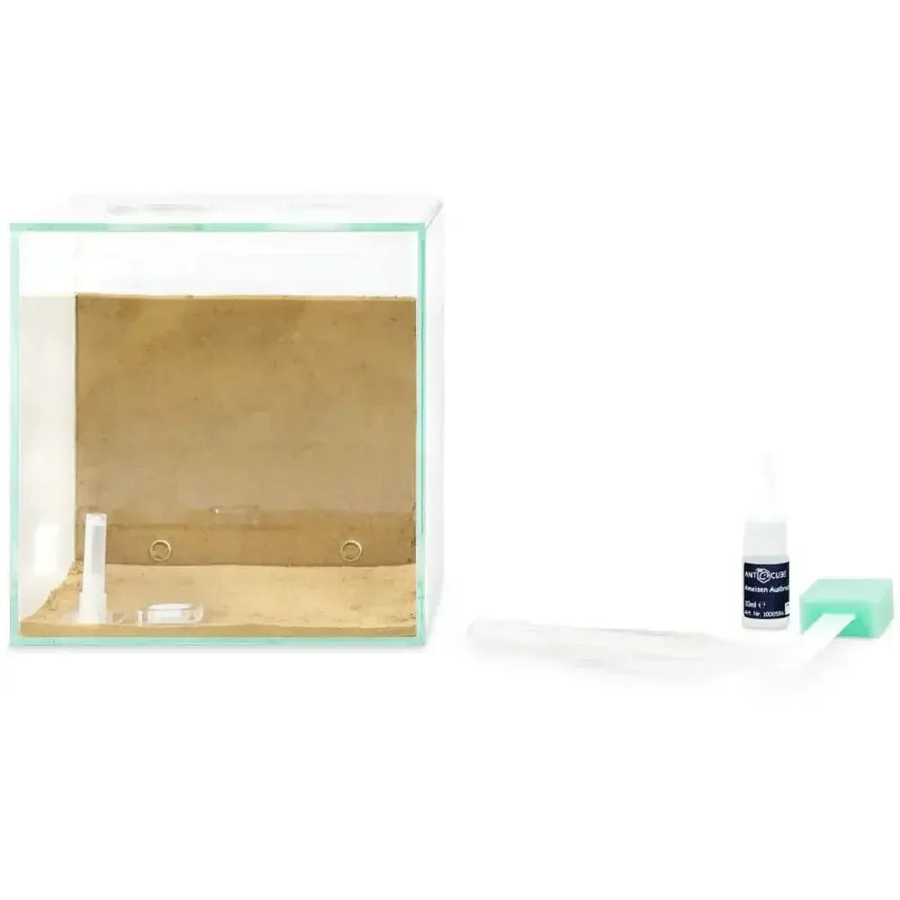 ANTCUBE Starter Set S – 20×20cm – Combi - Talis Us