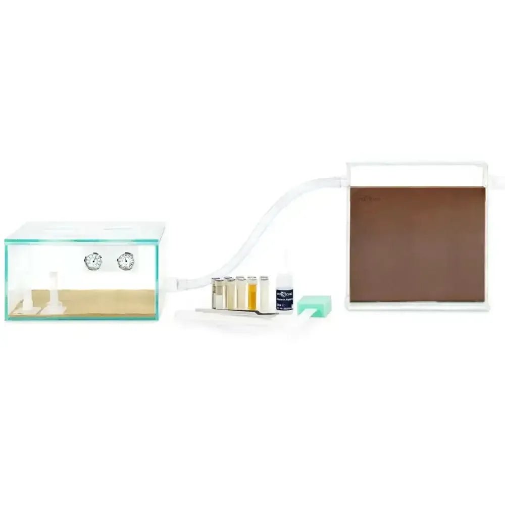 ANTCUBE Starter Set S – 20×20cm – Digfix - Talis Us