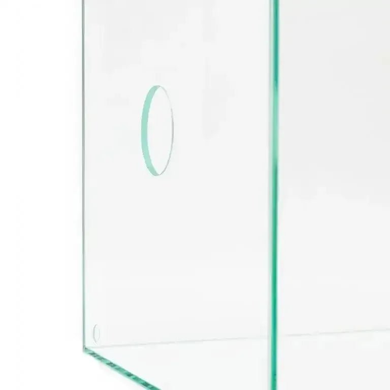 ANTCUBE Vivarium 30x30x30cm - Cube - Talis Us