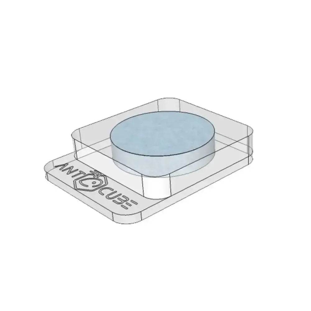 AntsDish Clear 1x20 - sponge - Talis Us