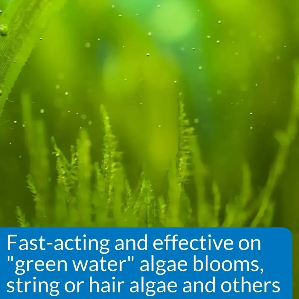 API AlgaeFix Freshwater Aquarium Algaecide API®