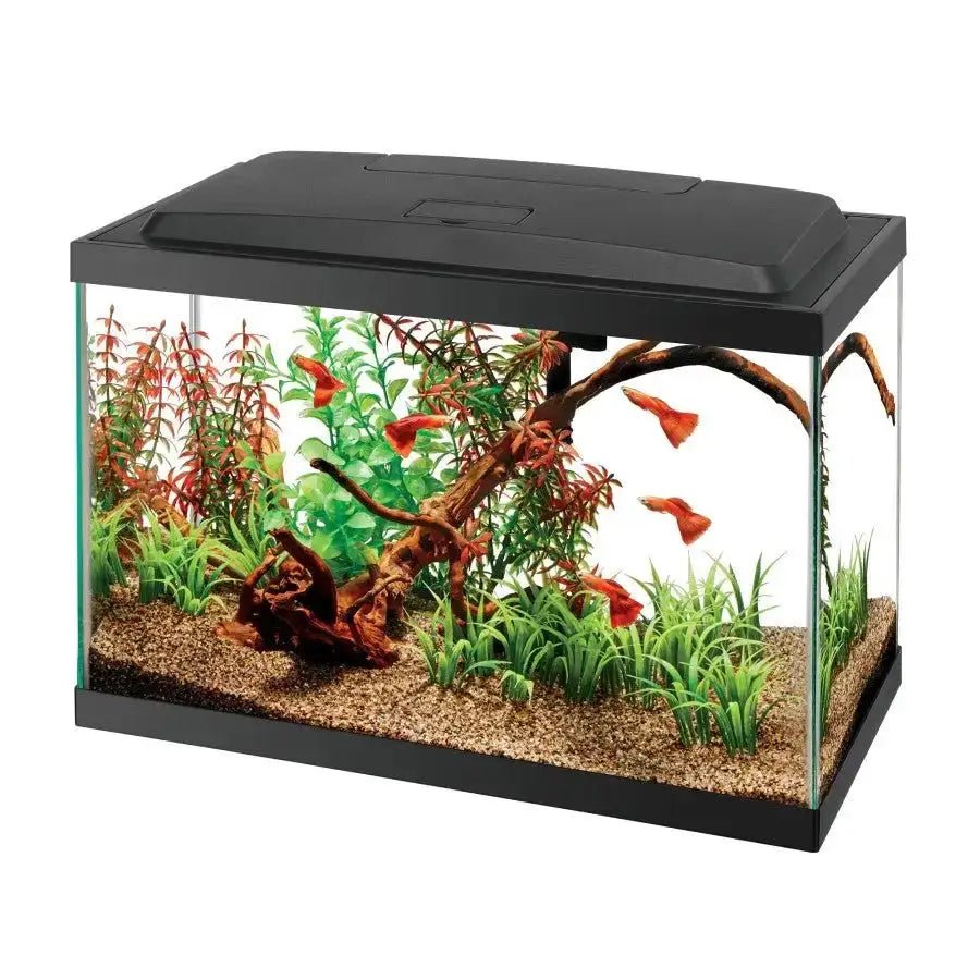 Aqueon Aquarium Starter Kit with LED Lighting 5.5gal - Talis Us