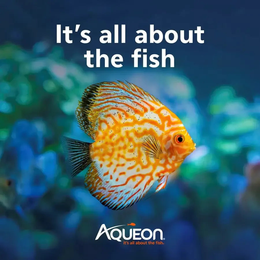 Aqueon monster fish medley food for vibrant and healthy aquarium fish nutrition