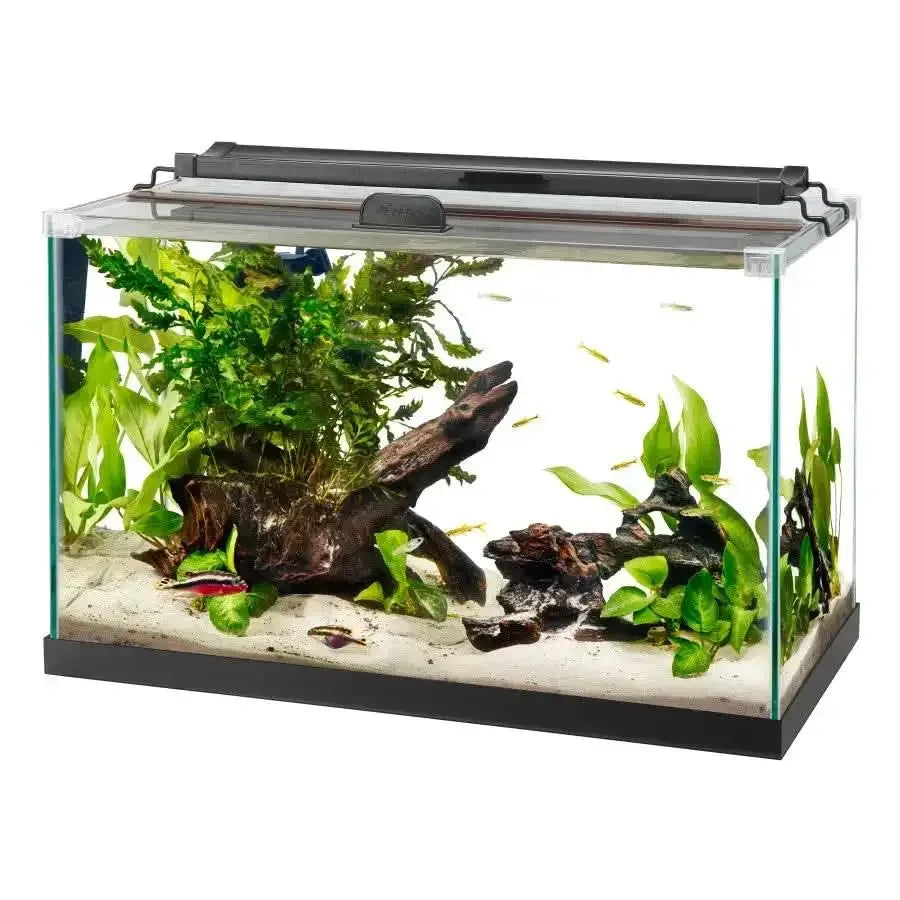 Aqueon Rimless Rectangle Aquarium Aqueon® CPD