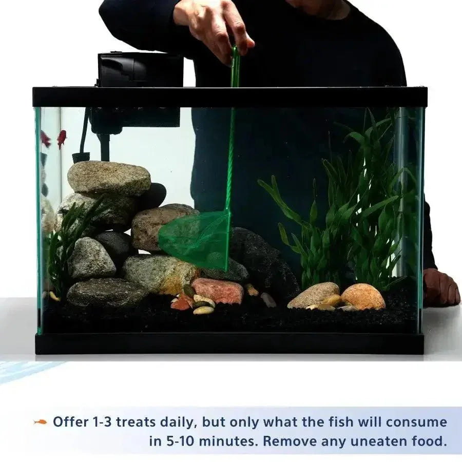 Aqueon Stick'ems Freeze - Dried Fish Food - Talis Us