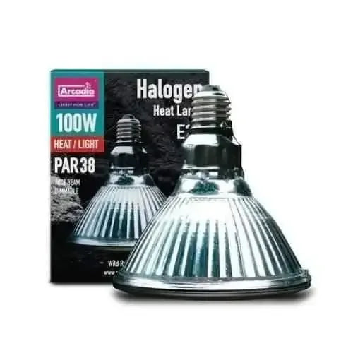 Arcadia halogen bulb packaged in its box for retail display
