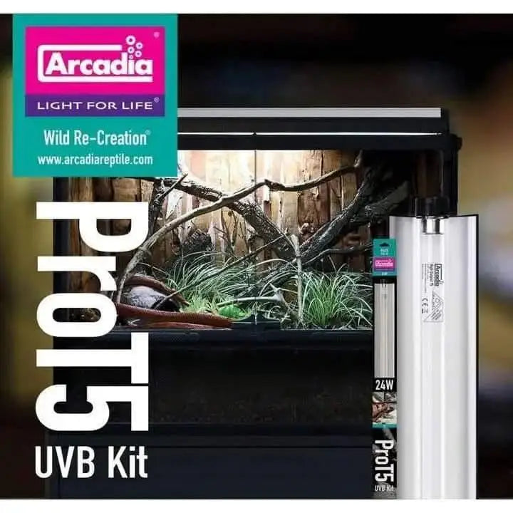 T5 UV bulb included in the Arcadia Prot5 UVB Kit for maintaining optimal lighting conditions in reptile enclosures