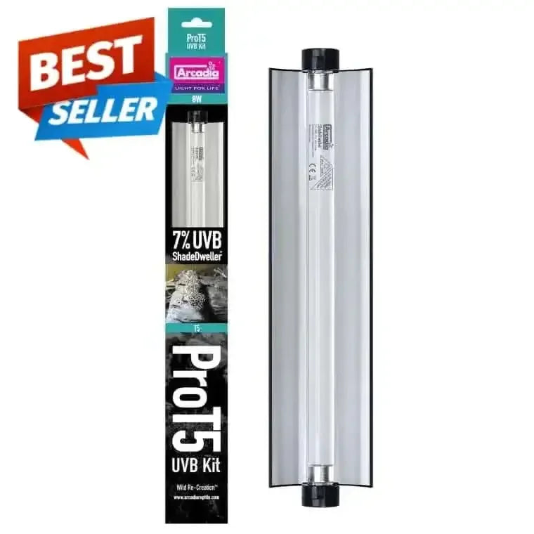 Reptile uvb light | Talis-us – Talis Us