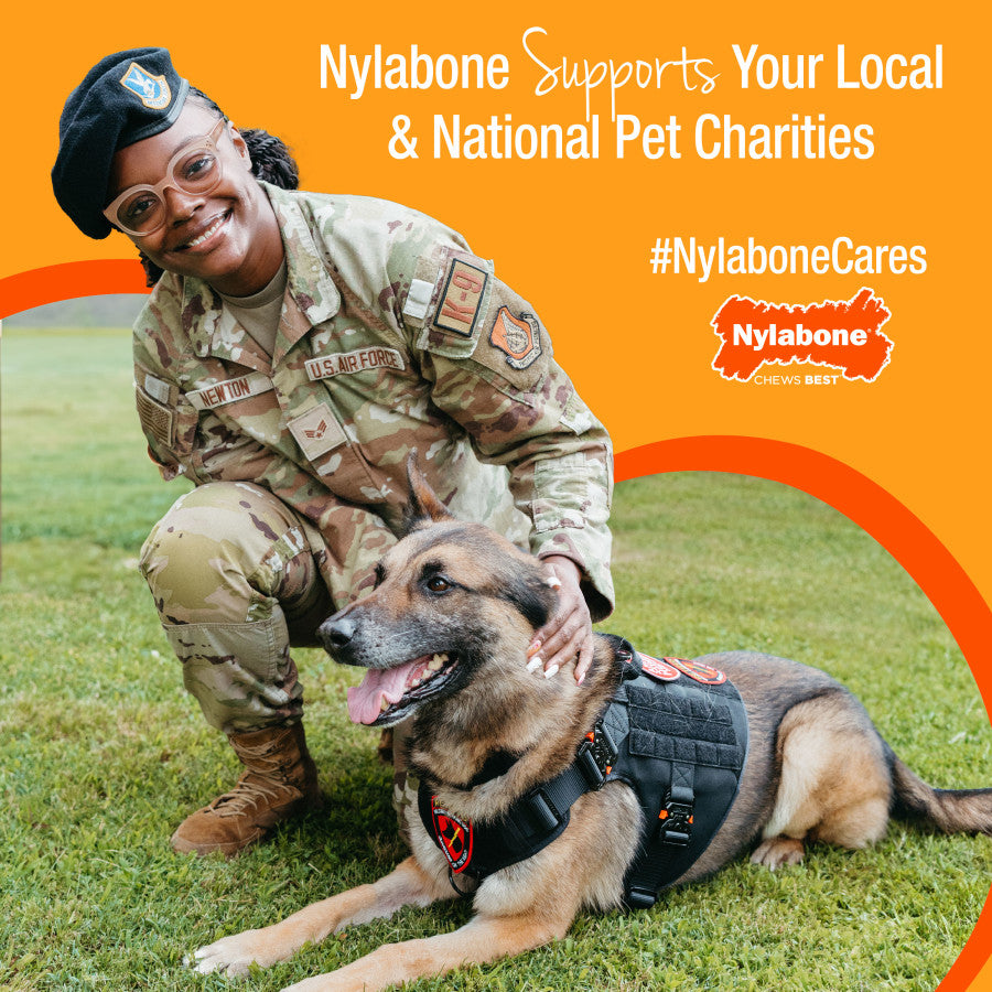 A smiling U.S. Air Force member in camouflage uniform kneeling next to a German Shepherd dog.