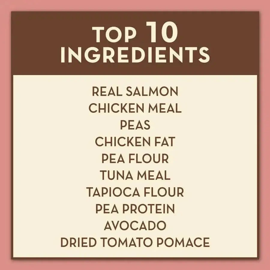 AvoDerm Grain Free Salmon with Tuna Meal Dry Cat Food by AvoDerm highlights real salmon, chicken meal, peas, and avocado in its Top 10 Ingredients list—making it a top grain free choice for cats. Displayed on a tan background.