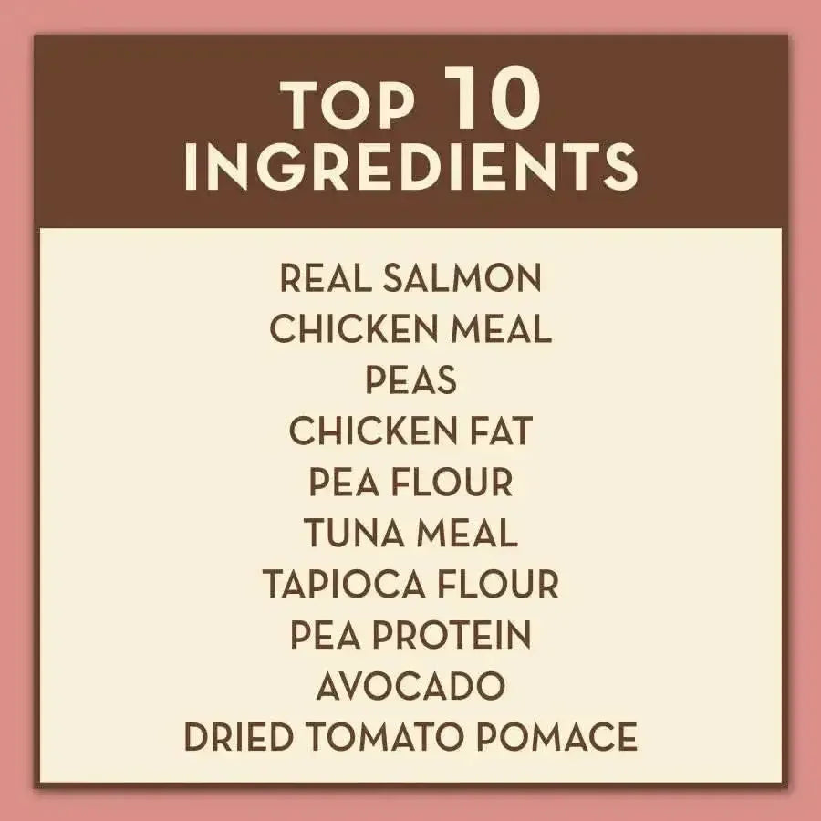 AvoDerm Grain Free Salmon with Tuna Meal Dry Cat Food by AvoDerm highlights real salmon, chicken meal, peas, and avocado in its Top 10 Ingredients list—making it a top grain free choice for cats. Displayed on a tan background.