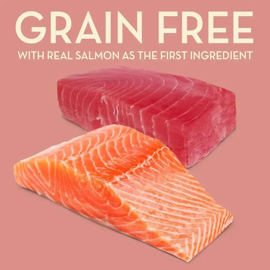 Two raw salmon fillets, one deep red and one light orange, are displayed on a pink background with the text AvoDerm Grain Free Salmon with Tuna Meal Dry Cat Food above them.