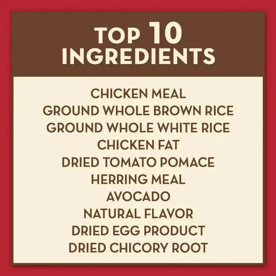 AvoDerm Natural Adult Chicken & Herring Meal Dry Cat Food features a Top 10 Ingredients list with chicken meal, herring meal, avocado, and dried chicory root—perfect for those looking for premium avocado cat food from AvoDerm.