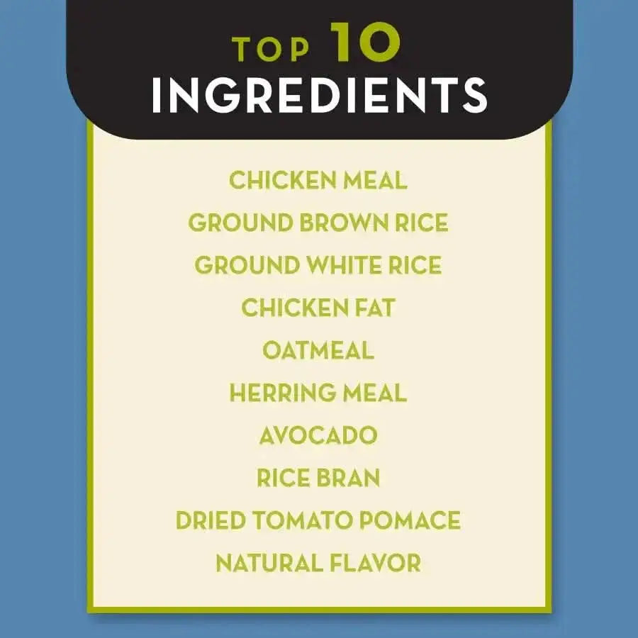 A chart titled “Top 10 Ingredients” highlights key components in AvoDerm Natural Chicken Meal & Brown Rice Formula Dry Puppy Food, such as chicken meal, ground rice, oatmeal, herring meal, avocado dog food blend, rice bran, and natural flavor.