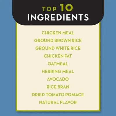 A chart titled “Top 10 Ingredients” highlights key components in AvoDerm Natural Chicken Meal & Brown Rice Formula Dry Puppy Food, such as chicken meal, ground rice, oatmeal, herring meal, avocado dog food blend, rice bran, and natural flavor.