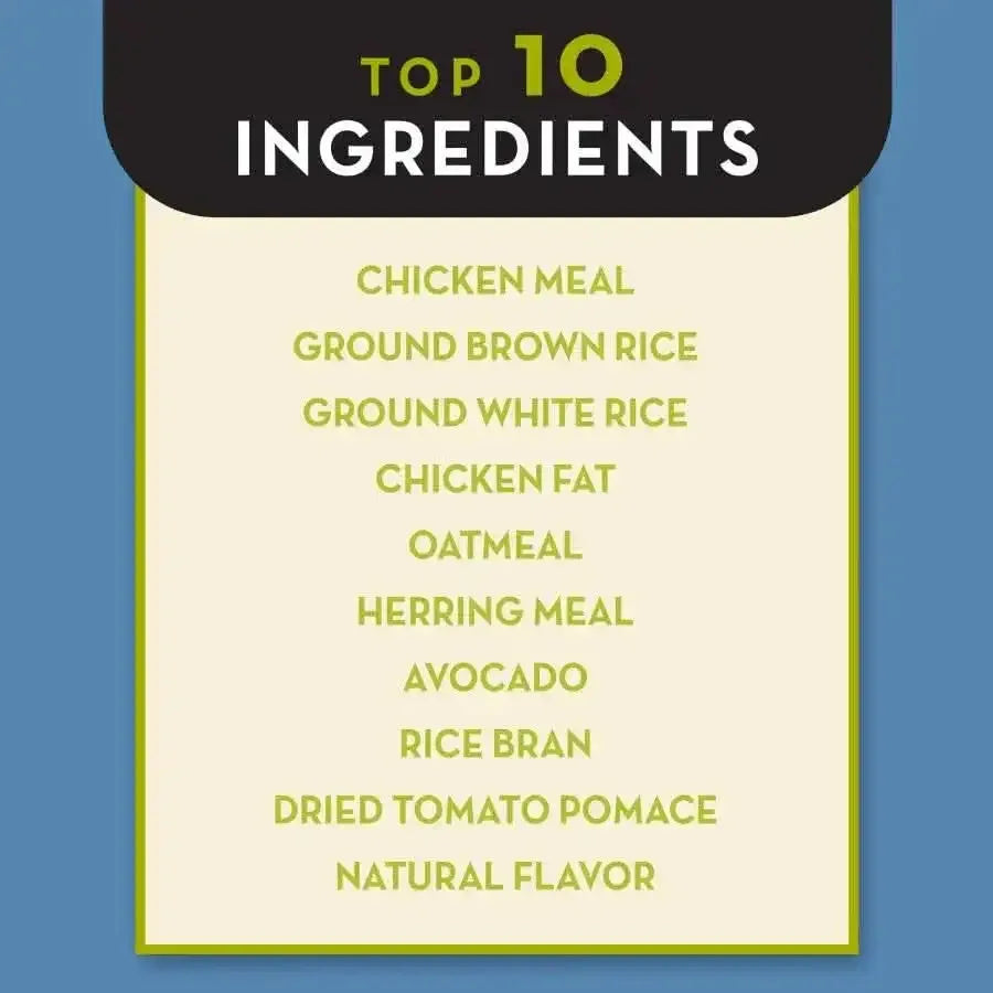 A chart titled “Top 10 Ingredients” highlights key components in AvoDerm Natural Chicken Meal & Brown Rice Formula Dry Puppy Food, such as chicken meal, ground rice, oatmeal, herring meal, avocado dog food blend, rice bran, and natural flavor.
