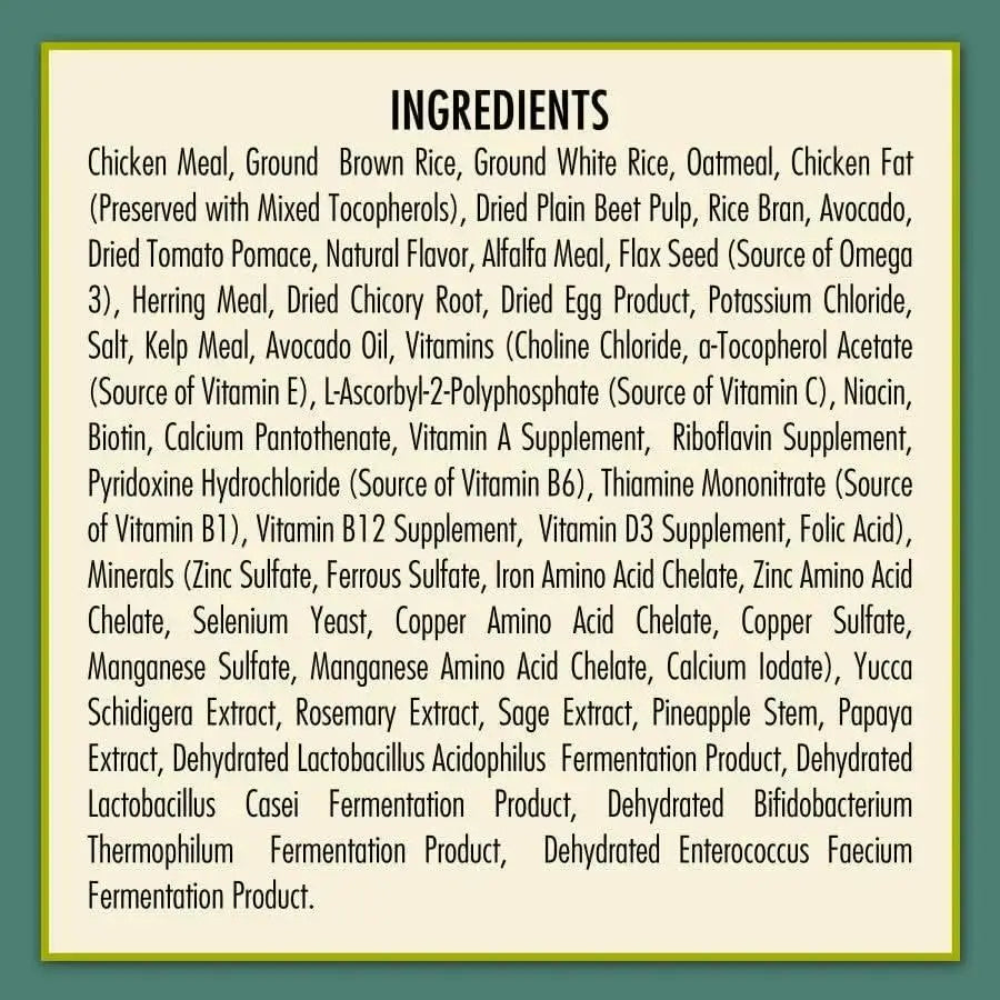 A green-bordered ingredients list for AvoDerm Natural Chicken Meal & Brown Rice Small Breed Dry Dog Food shows chicken meal, brown rice, grains, vegetables, vitamins, minerals, and probiotics on a beige background.