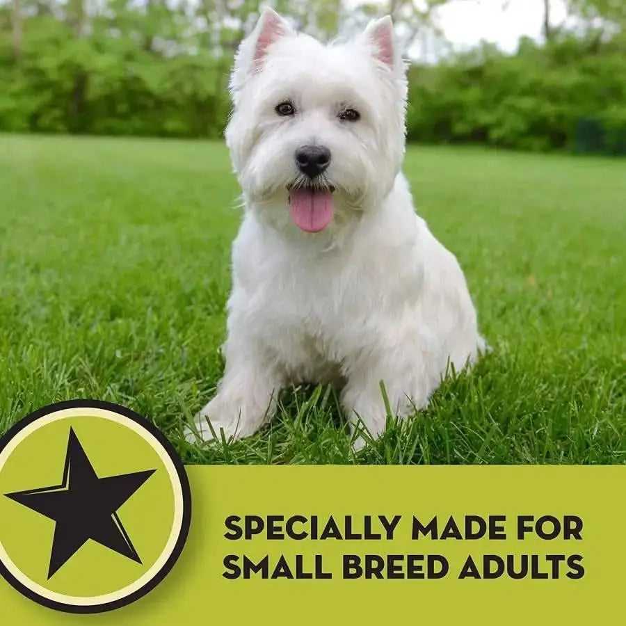 A small white dog sits on green grass, looking at the camera with its tongue out. Text below reads, AvoDerm Natural Chicken Meal & Brown Rice - Small Breed Dry Dog Food by AvoDerm, marked by a black star in a yellow circle.
