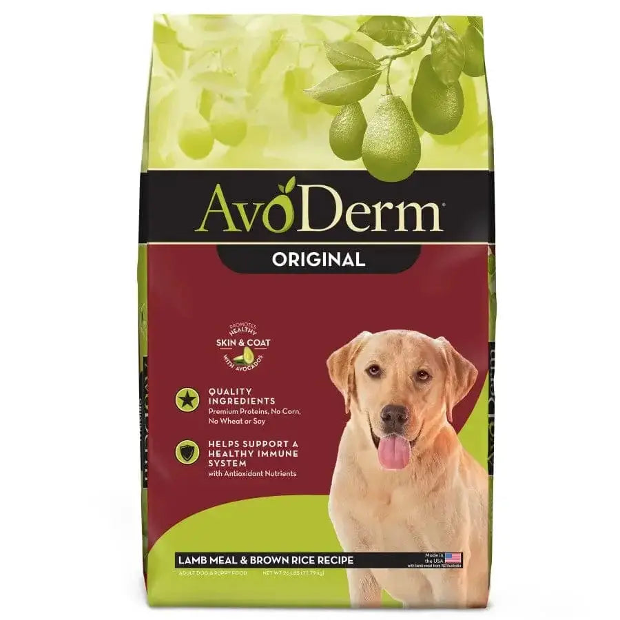 AvoDerm Natural Original Lamb Meal & Brown Rice Recipe Dry Dog Food features a yellow lab, avocado graphics, and text promoting quality ingredients and immune system support.
