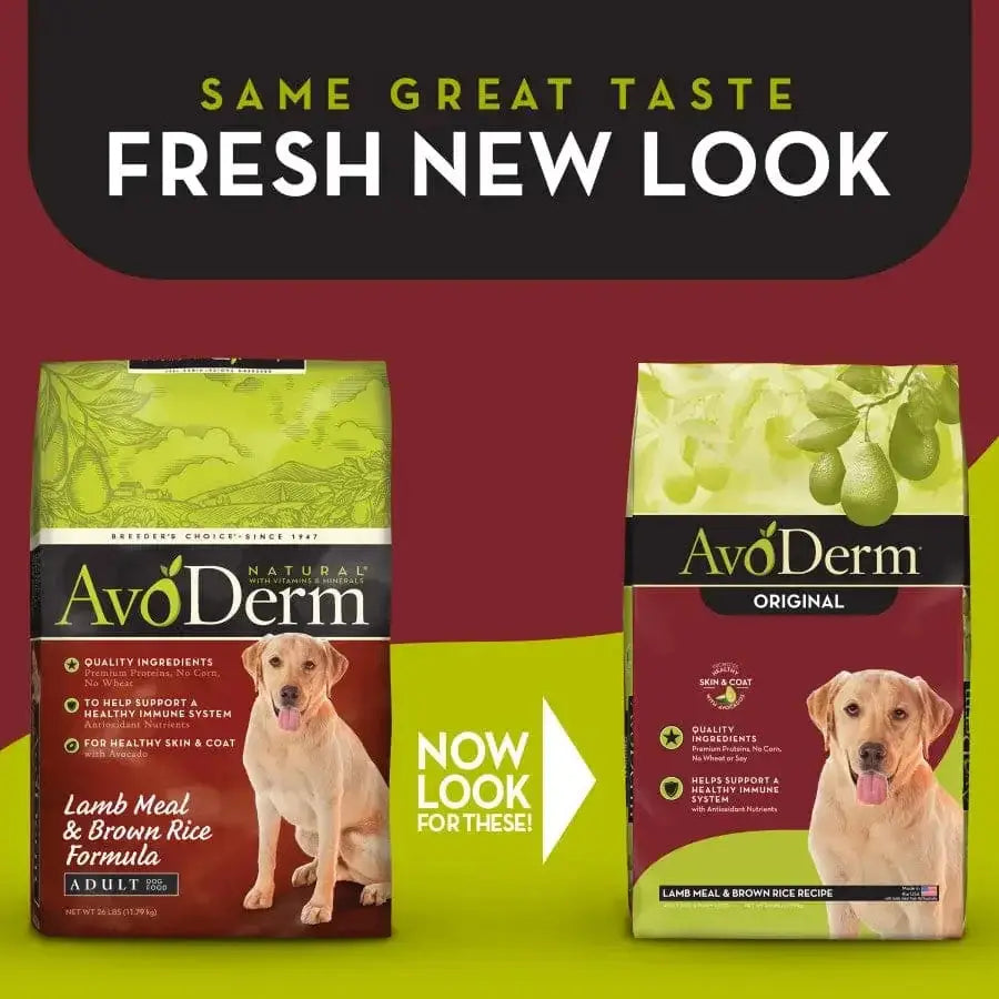 Two bags of AvoDerm Natural Original Lamb Meal & Brown Rice Recipe Dry Dog Food are shown side by side with a yellow labrador on the packaging. Banner highlights: Fresh New Look. Brand: AvoDerm.