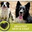 Two happy black and white dogs sit outdoors on dry grass. A heart icon and HEALTHY SKIN & COAT on a green banner highlight the benefits of AvoDerm Natural Original Lamb Meal & Brown Rice Recipe Dry Dog Food by AvoDerm.