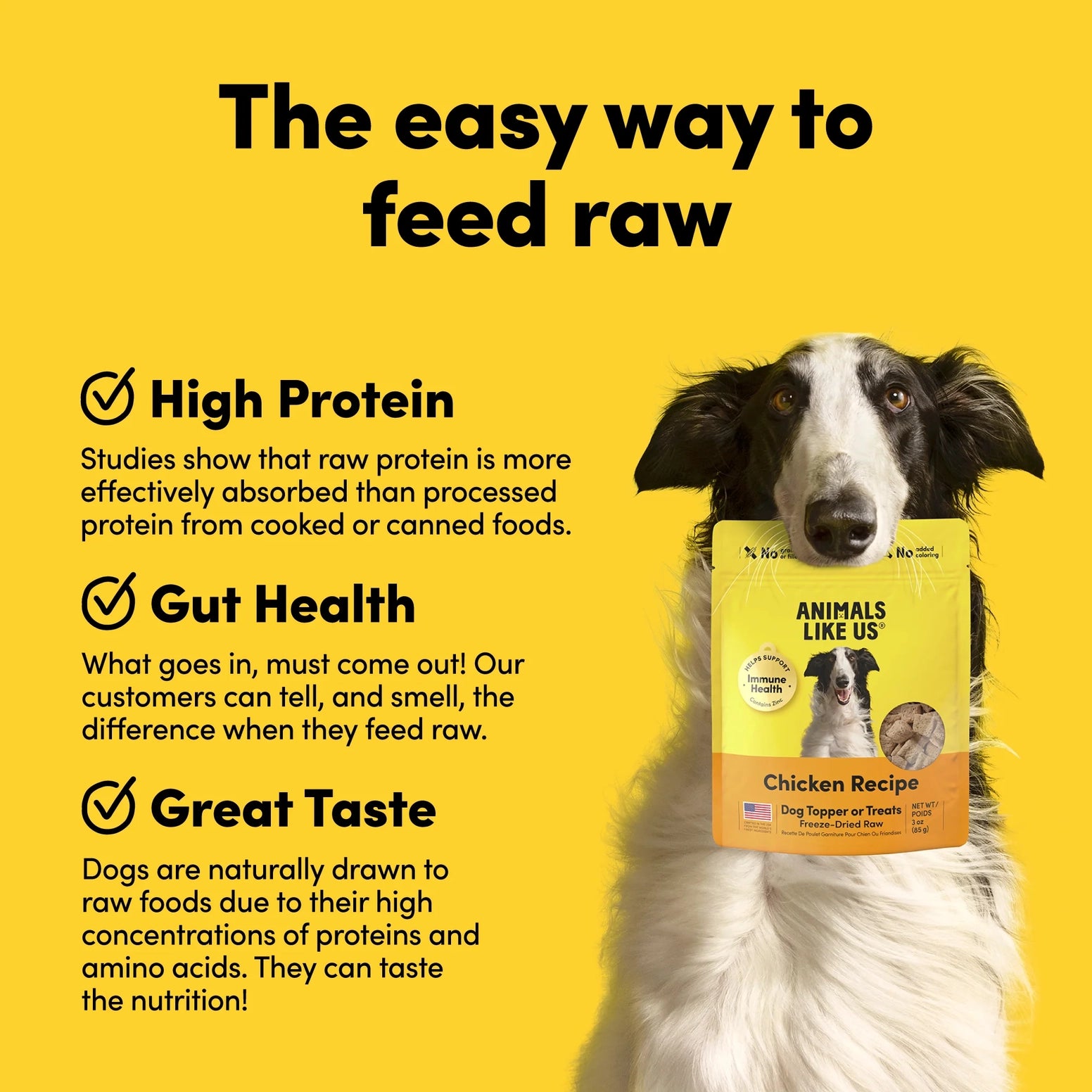 Dog holding a yellow pouch of freeze-dried raw chicken dog food topper with protein and gut health benefits text