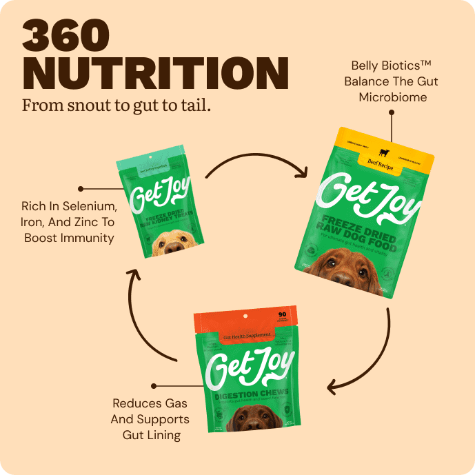 Get Joy Gut Support Bundle featuring raw kidney treats, beef recipe dog food, and digestion chews.