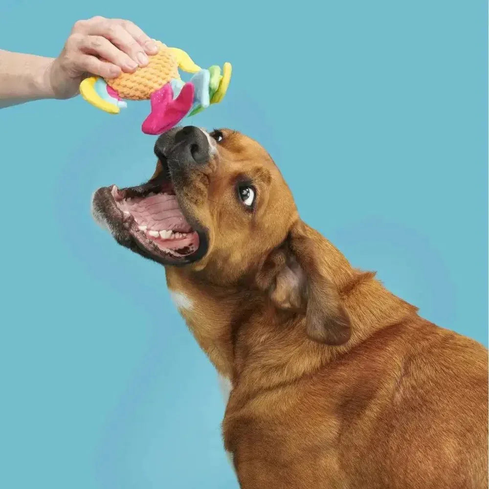 BARK Ahi Tina Plush Dog Toy - Talis Us