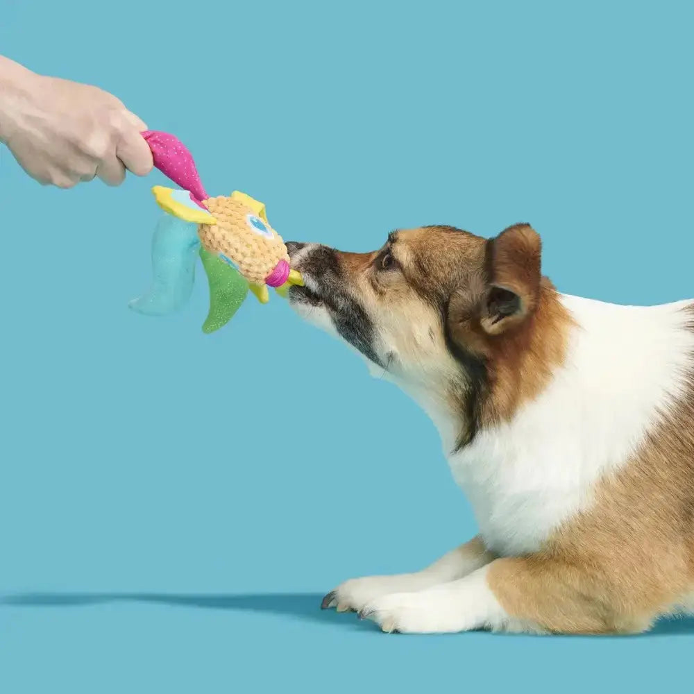 BARK Ahi Tina Plush Dog Toy - Talis Us