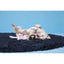 BARK Baa Baa Bark Sheep Dog Toys - Talis Us