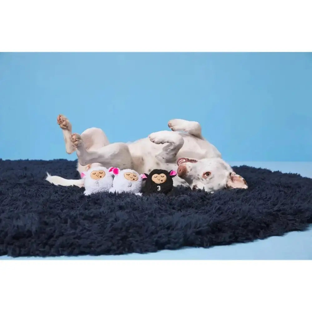 BARK Baa Baa Bark Sheep Dog Toys - Talis Us