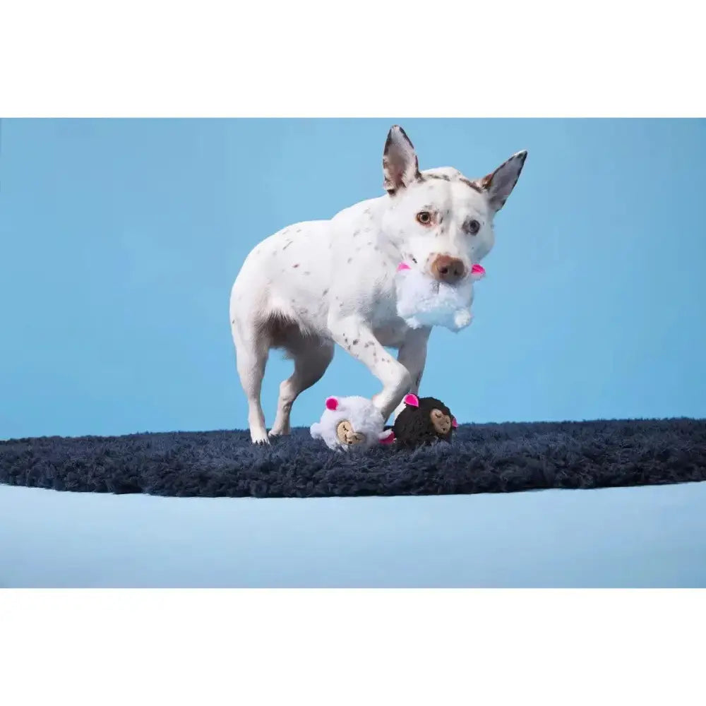 BARK Baa Baa Bark Sheep Dog Toys - Talis Us