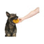 BARK Barkvarian Pretzel Dog Toys - Talis Us