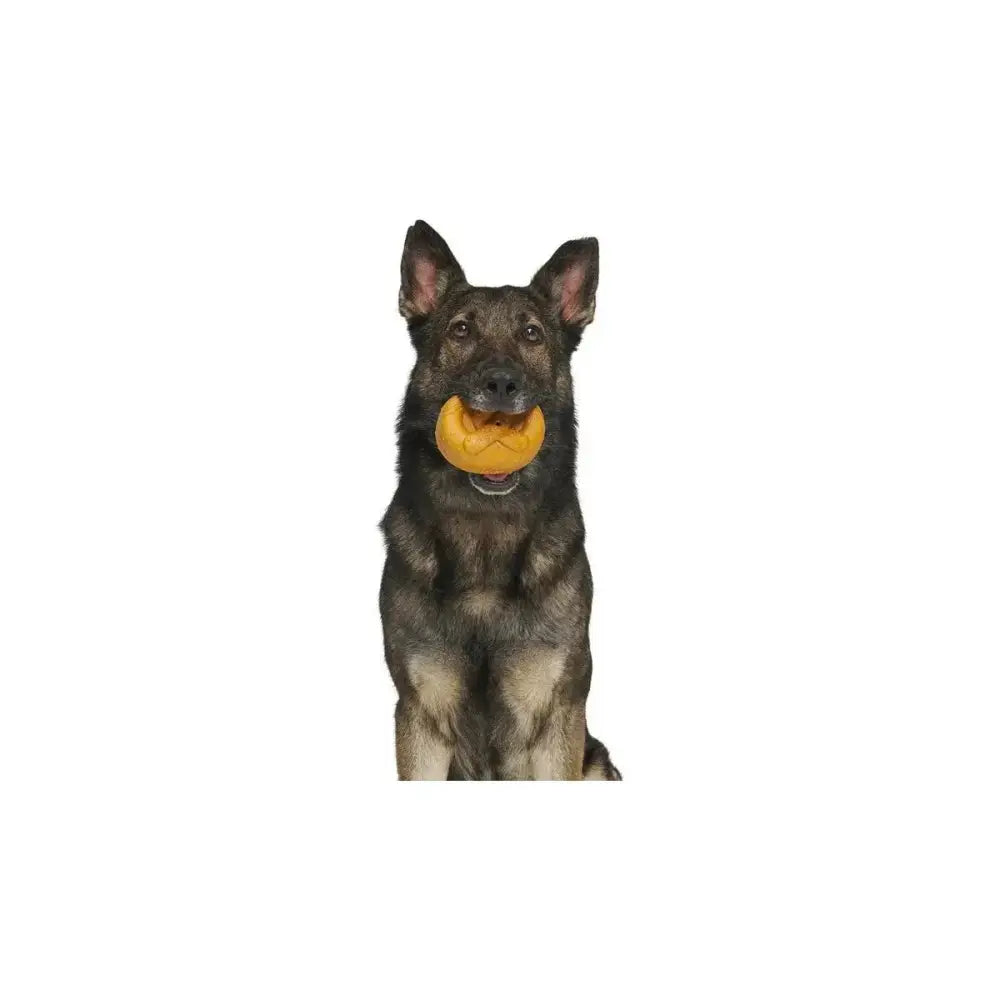 BARK Barkvarian Pretzel Dog Toys - Talis Us