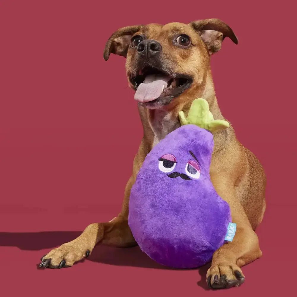 BARK Big Babbo Plush Dog Toy - Talis Us