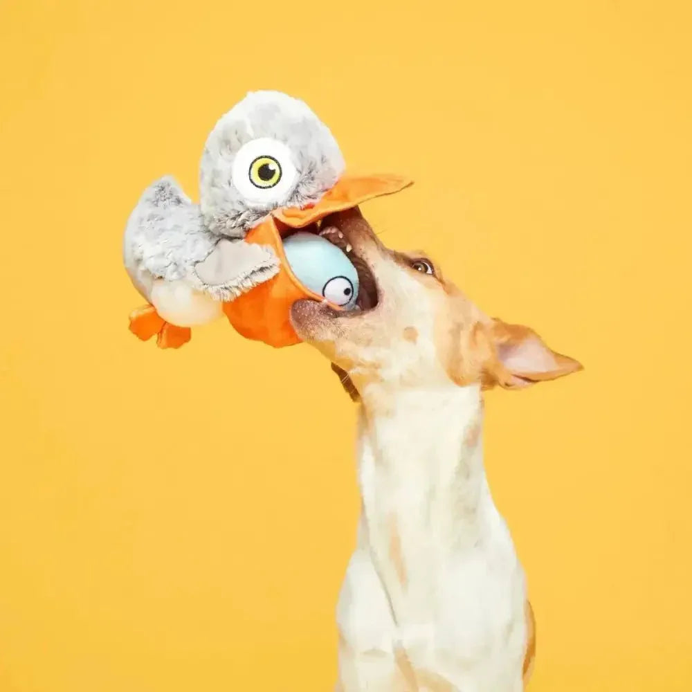BARK Big Bill & Beak - A - Boo Fish Dog Toy - Talis Us