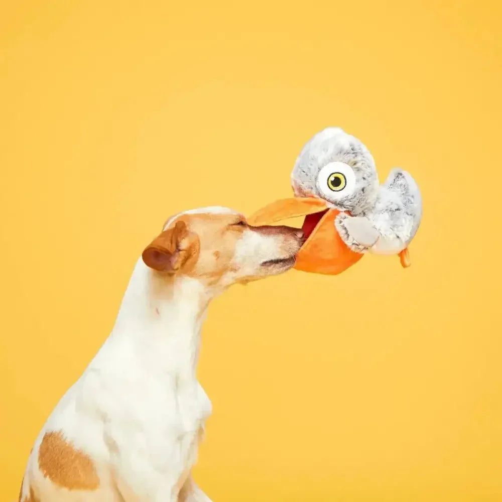 BARK Big Bill & Beak - A - Boo Fish Dog Toy - Talis Us